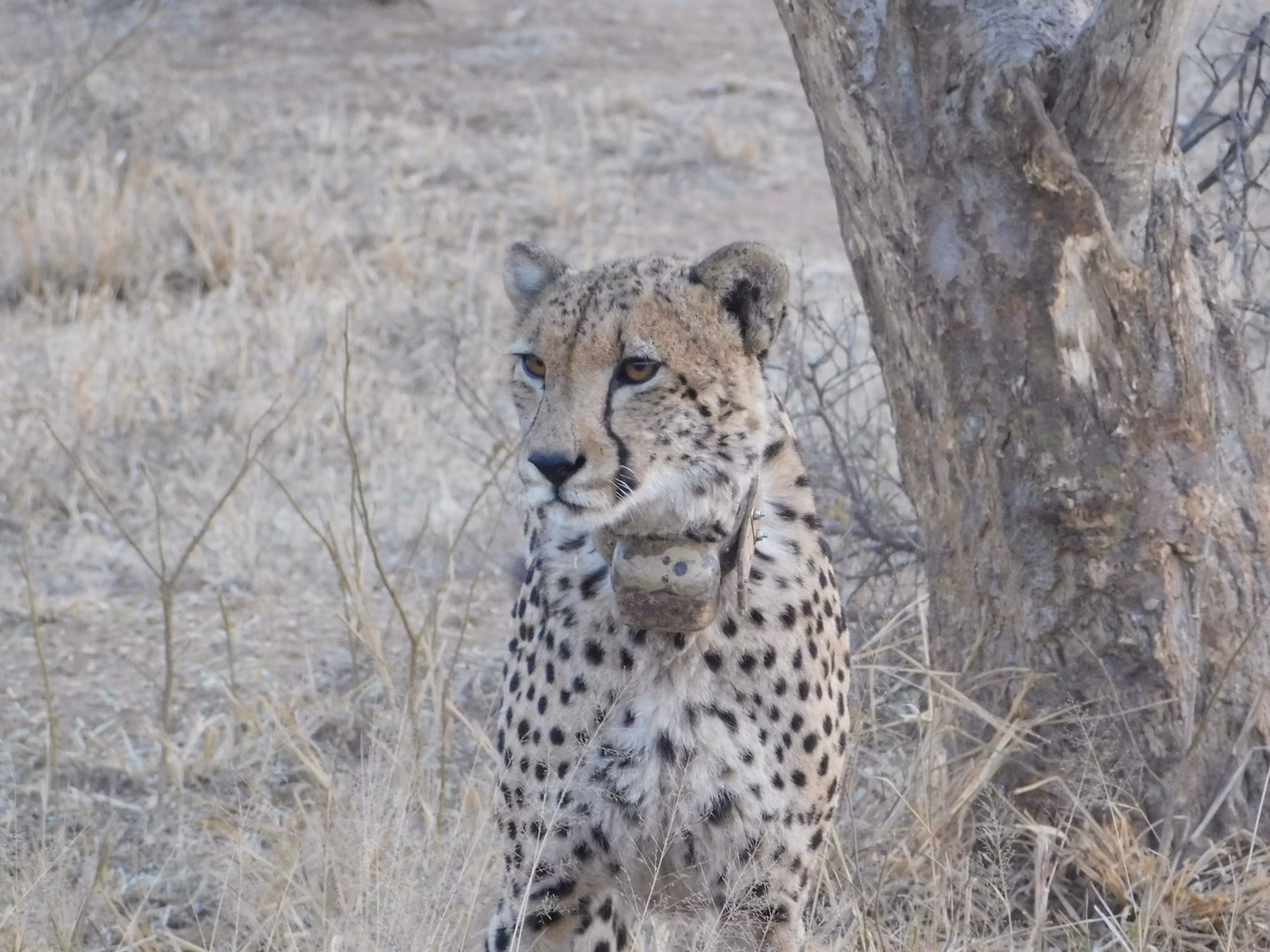 The Art of Game Design: Crafting Engaging Experiences